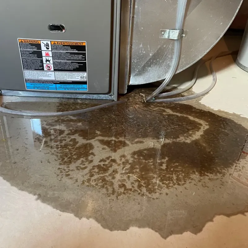 Appliance Leak Cleanup in Locust, NC